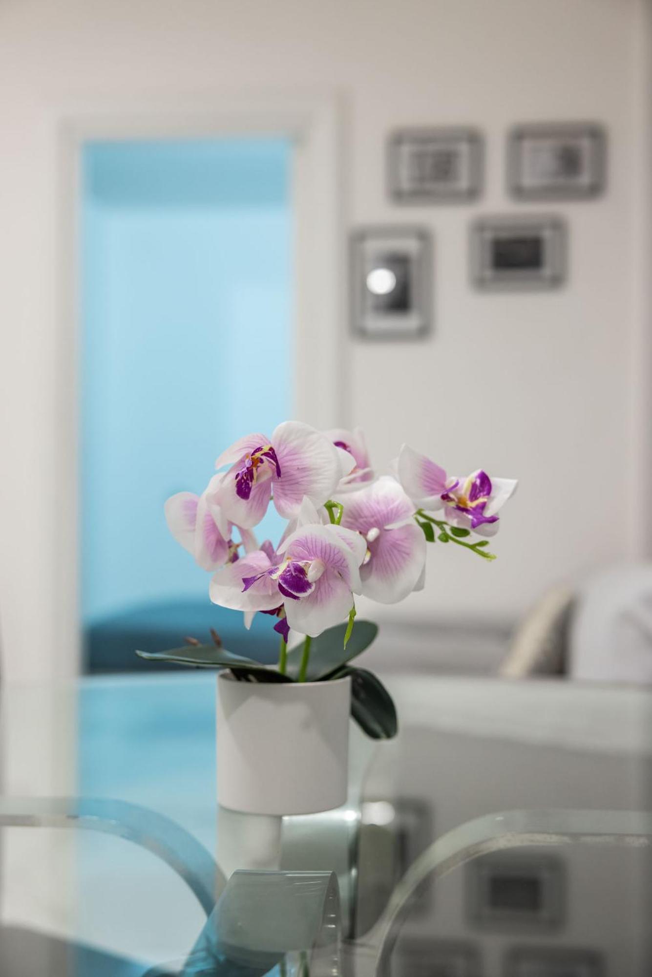 巴里Chic House公寓 外观 照片